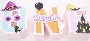 pooky one birthday decor