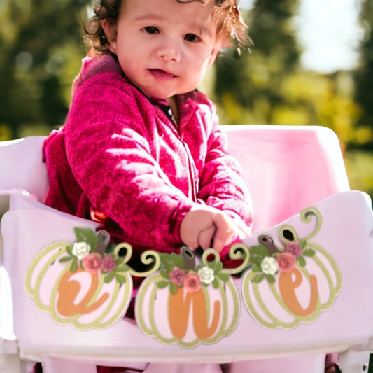 Pumpkin Birthday High chair banner